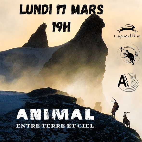 LUNDI 17 MARS À 19h