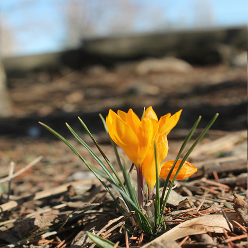 SAMEDI 14 MARS - 9h30 à 11h30