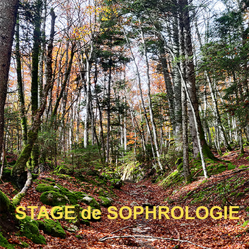 SAMEDI 18 OCTOBRE de 9h30 à 11h30 